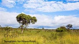  Presentation with africa tourism - Slide set having famous-kruger-park-beautiful-windy background and a gold colored foreground