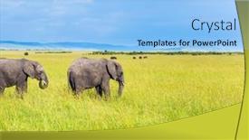  Presentation with africa tourism - Slide deck with famous-masai-mara-reserve background and a light blue colored foreground