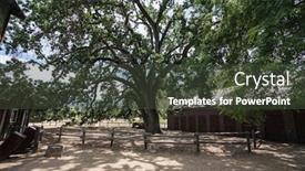  Presentation with 2018 - Slide set consisting of famous-oak-tree-known background and a tawny brown colored foreground