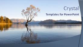  Presentation with single tree - Slides enhanced with famous-single-tree-standing background and a sky blue colored foreground