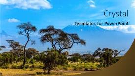  Presentation with savanna - Presentation consisting of famous-snow-peak-of-kilimanjaro background and a light blue colored foreground