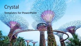  Presentation with marina - Cool new theme with famous tree light in park backdrop and a light blue colored foreground