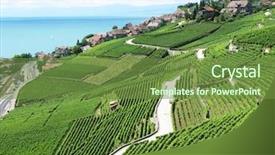  Presentation with vineyards - Beautiful presentation theme featuring famous vineyards in lavaux region against geneva lake switzerland backdrop and a tawny brown colored foreground