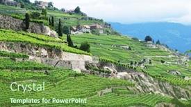  Presentation with vineyards - PPT theme with famous vineyards in lavaux region against geneva lake switzerland background and a tawny brown colored foreground