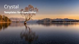  Presentation with stars moon - PPT layouts consisting of famous-wanaka-tree background and a ocean colored foreground