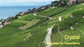  Presentation with vineyards - Colorful PPT layouts enhanced with famouse vineyards in lavaux region against geneva lake switzerland backdrop and a tawny brown colored foreground