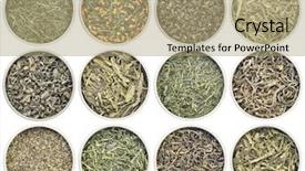  Presentation with tea samples - PPT theme having fanning iccha kariban tindharia estate background and a coral colored foreground