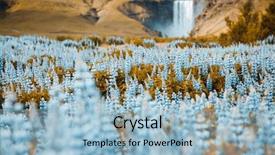  Presentation with awesome - PPT layouts enhanced with fantastic - majestic view of vivid lupine background and a light blue colored foreground