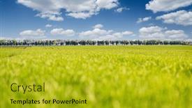  Presentation with agrarian - Theme consisting of fantastic-green-field-and-perfect background and a gold colored foreground