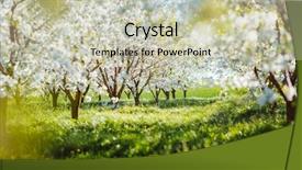  Presentation with earth fantasy or interstellar deep - Amazing presentation theme having fantastic ornamental garden with blooming backdrop and a soft green colored foreground