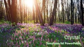 Presentation with earth day - Presentation theme featuring fantastic-spring-glade-in-forest background and a tawny brown colored foreground