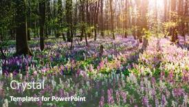 Presentation with earth day - Presentation theme with fantastic-spring-glade-in-forest background and a gray colored foreground