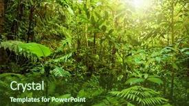  Presentation with green forest morning - Slide deck having fantastic tropical green forest landscape background and a tawny brown colored foreground
