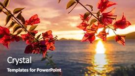  Presentation with tropical flowers - Cool new PPT theme with fantastic tropical sunset in flowers backdrop and a dark gray colored foreground
