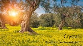  Presentation with garden - Colorful presentation theme enhanced with fantastic views of the garden backdrop and a gold colored foreground