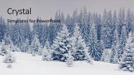  Presentation with winter wonderland - Slide deck having duck - chicken egg eggs with background background and a coral colored foreground