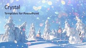  Presentation with trees - Cool new slides with fantastic winter landscape with snowy backdrop and a light blue colored foreground
