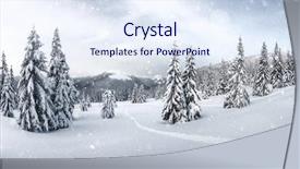  Presentation with trees - Audience pleasing presentation consisting of fantastic winter landscape with snowy backdrop and a sky blue colored foreground