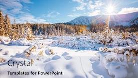  Presentation with winter scene - Amazing PPT theme having fantastic-winter-landscape-with-spruces backdrop and a light blue colored foreground