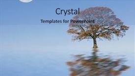  Presentation with autumn blue - Amazing slides having background of a full backdrop and a light blue colored foreground