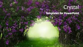  Presentation with forest road - Slide deck featuring fantasy-background-magic-forest background and a tawny brown colored foreground