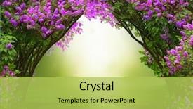  Presentation with forest - Colorful slides enhanced with fantasy background magic forest backdrop and a yellow colored foreground