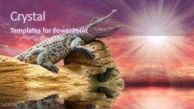  Presentation with crocodile - PPT theme with fantasy dragons - crocodile against sunset sky background and a violet colored foreground