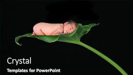  Presentation with neonatal premature newborn baby girl - Colorful slides enhanced with fantasy-image-of-an-infant backdrop and a black colored foreground
