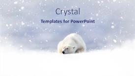  Presentation with polar bear - Audience pleasing PPT layouts consisting of fantasy-scene-of-a-polar backdrop and a lemonade colored foreground