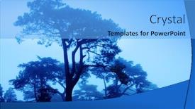  Presentation with fantasy - Theme with fantasy-trees-on-a-misty background and a light blue colored foreground