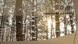  Presentation with pine trees - Audience pleasing presentation consisting of faries - sun in the beautiful pine backdrop and a  colored foreground