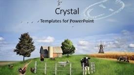  Presentation with animals - Colorful PPT theme enhanced with farm animals on a green backdrop and a light blue colored foreground