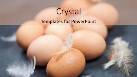  Presentation with baby chicken in poultry farm - Slide deck having farm chicken eggs and feathers background and a lemonade colored foreground