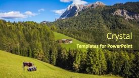  Presentation with green mountains - Audience pleasing slides consisting of farm cows resting in the grass dolomites val de funes valley picturesque mountains surround the green alpine meadows of the valley backdrop and a tawny brown colored foreground