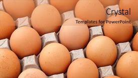  Presentation with container - Cool new presentation with farm egg in paper container backdrop and a coral colored foreground