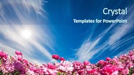  Presentation with sun - Cool new theme with farm field cloudy and windy backdrop and a ocean colored foreground