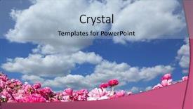  Presentation with pink sky - Audience pleasing theme consisting of farm field cloudy and windy backdrop and a light blue colored foreground