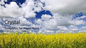  Presentation with manitoba - PPT theme enhanced with farm field in manitoba canada background and a light blue colored foreground