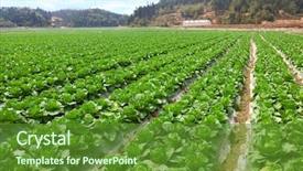  Presentation with farmland - Audience pleasing slides consisting of farm fields - arable farmland with fresh chinese backdrop and a tawny brown colored foreground