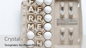  Presentation with words - Theme consisting of farm-fresh-words-egg-carton background and a mint green colored foreground