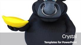  Presentation with cartoon - Presentation theme having cartoon cows - black bull - 3d illustration background and a dark gray colored foreground
