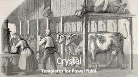  Presentation with old man - PPT theme having old illustration dutch man background and a gray colored foreground