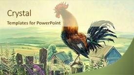  Presentation with paint - Amazing slide set having cock - rooster in summer landscape digital backdrop and a cream colored foreground