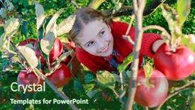  Presentation with orchard - PPT theme consisting of farm kids - orchard - girl picking red background and a forest green colored foreground