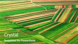  Presentation with agricultural - Beautiful PPT layouts featuring empresas agricolas - towers of grain drying enterprise backdrop and a gray colored foreground.