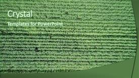  Presentation with country photo - Presentation theme enhanced with farm land - green country field with row background and a tawny brown colored foreground