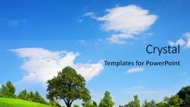  Presentation with springtime - Colorful slide deck enhanced with farm land - green field springtime backdrop and a light blue colored foreground