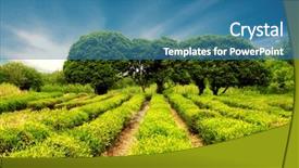  Presentation with tree farm - PPT theme consisting of farm land - meadow with dirt road background and a teal colored foreground