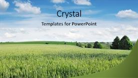  Presentation with wheat - Presentation theme with farm land - wheat field and blue sky background and a light blue colored foreground