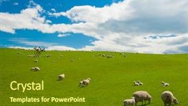  Presentation with new zealand - Audience pleasing PPT theme consisting of farm landscape - common view in the new backdrop and a tawny brown colored foreground